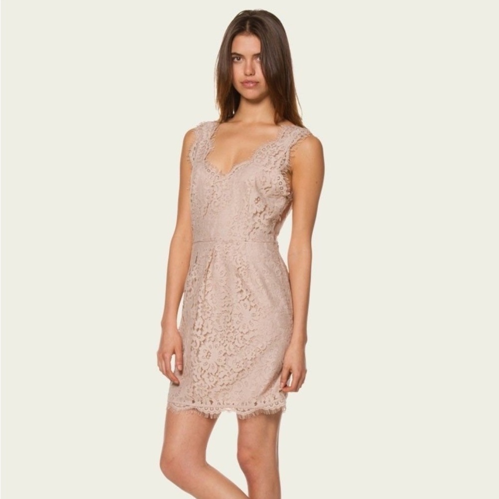 NWT Joie Rori Lace Cocktail Dress Nude Beige size XS